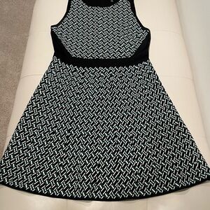 White House / Black Market Dress